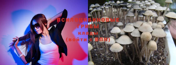 амф Алексеевка