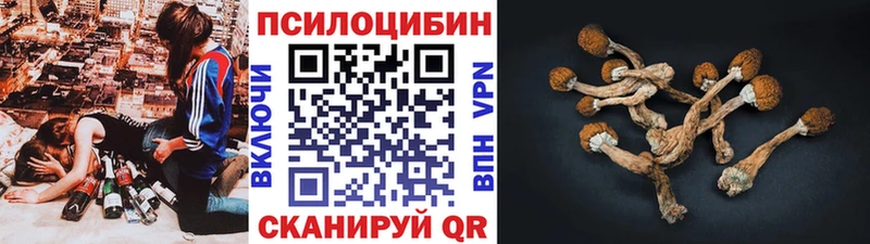 Псилоцибиновые грибы ЛСД Чернушка
