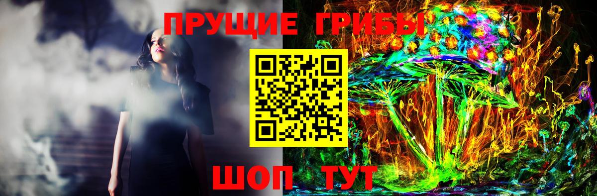 Чернушка  Псилоцибиновые грибы GOLDEN TEACHER  купить закладку  Псилоцибиновые грибы Psilocybine cubensis  Вход с VPN 