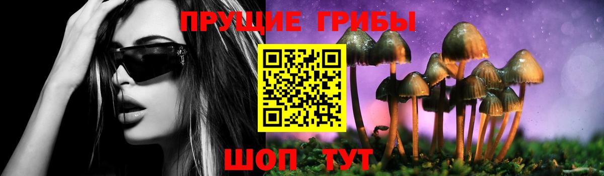Псилоцибиновые грибы прущие грибы Чернушка
